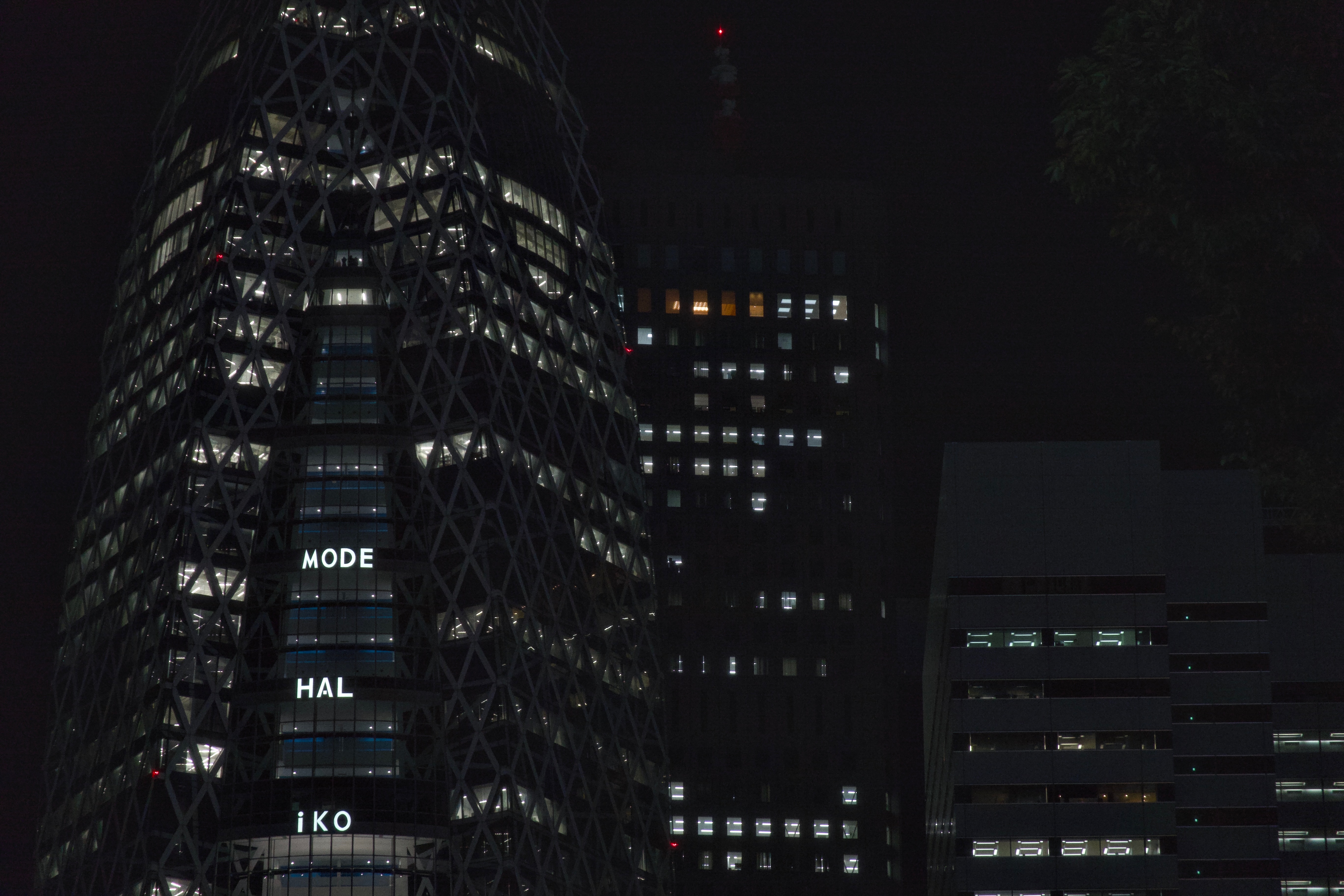 도쿄: 2025 (4)